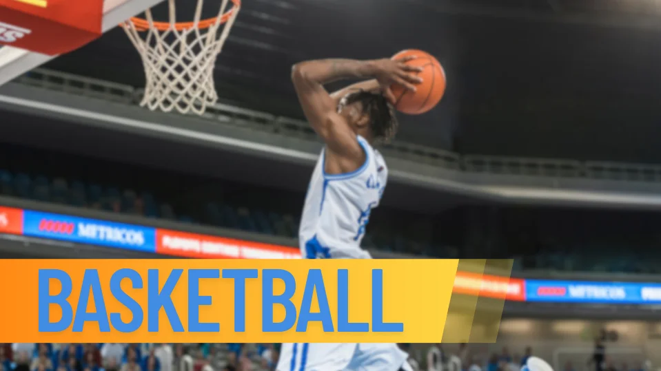 cricket basketball