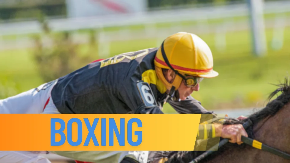 cricket boxing